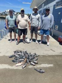 fishing report lewes de|Daily Delaware Fishing Reports (April 2024).